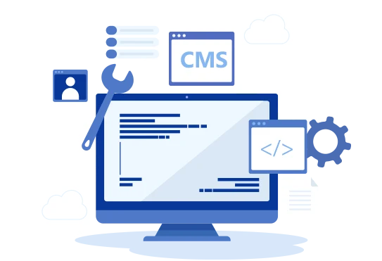 custom cms development services