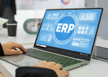 Government ERP Software