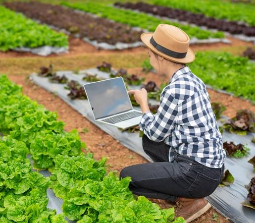 Monitoring & Analysis Software For Agriculture