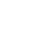 tesla (2)